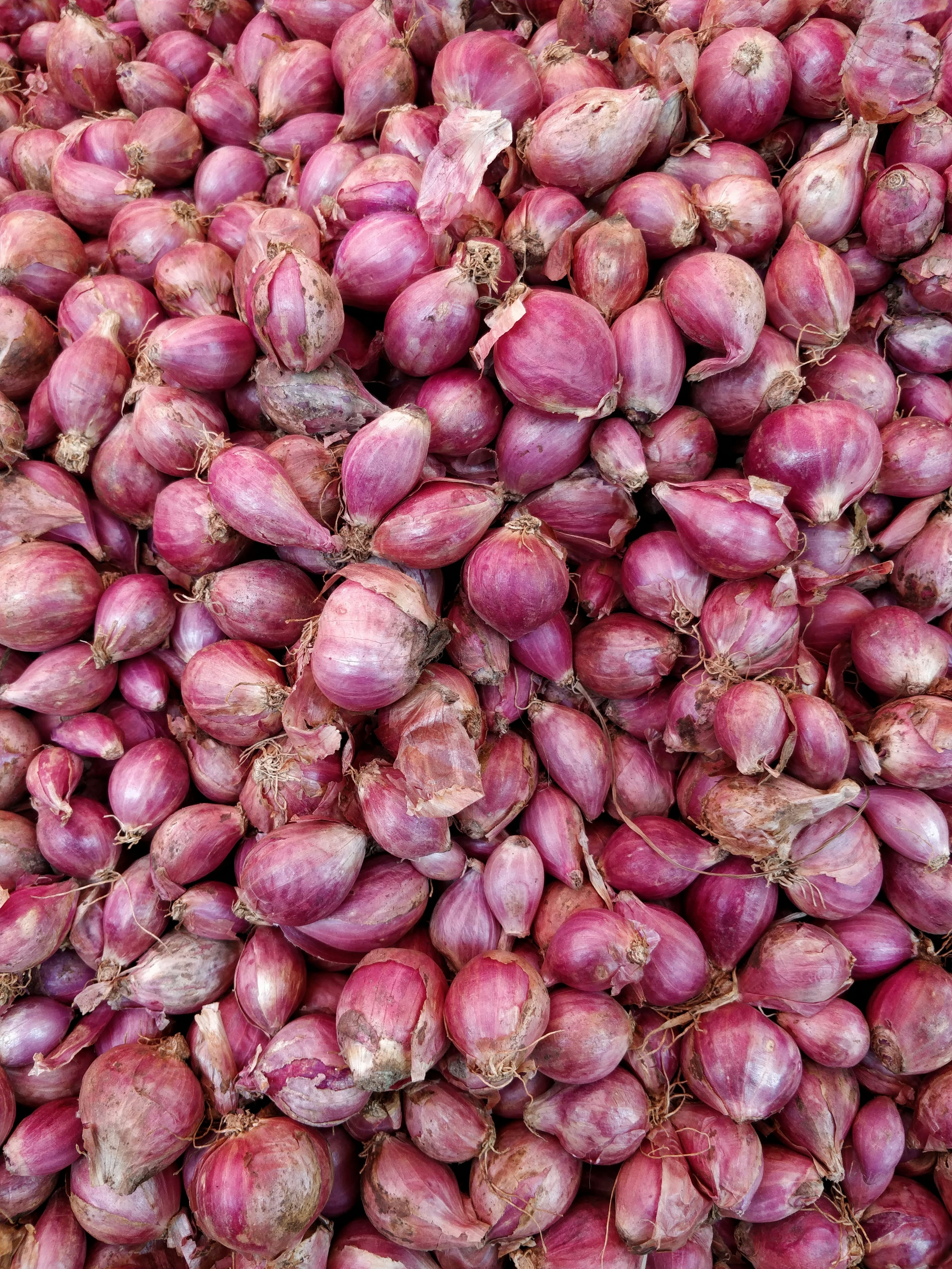 Tumpukan bawang merah
