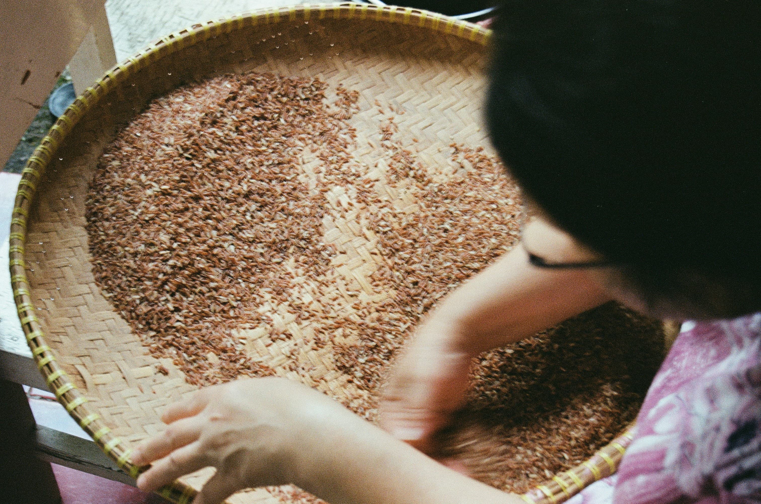 Menampi beras di atas tampah